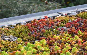 the cost of Ullcombe green roof installation