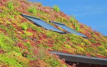 Ullcombe living roof systems